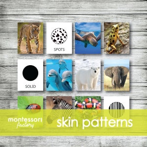 ANIMALS SKIN PATTERNS • Montessori Nomenclature - Flash - 3 Parts Cards • Educational Material • Homeschooling (36 cards)