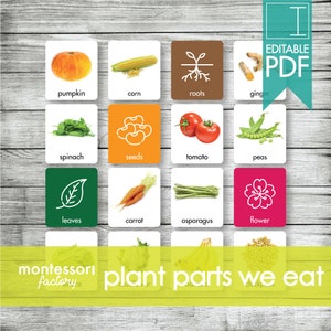 PLANT PARTS We Ate Montessori Cards, Flash Cards, Triing Cards, Matching Cards Educational Material, Montessori Printable, Editable PDF