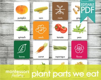 PLANT PARTS We Ate Montessori Cards, Flash Cards, Sorting Cards, Matching Cards Educational Material, Montessori Printable, Editable PDF