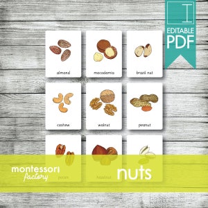 Tarjetas NUTS Montessori, Tarjetas Flash, Tarjetas de Tres Partes, Tarjetas de Nomenclatura, Material Educativo, Montessori Imprimible, PDF Editable