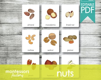 Cartes Montessori NUTS, Cartes Flash, Cartes en trois parties, Cartes de nomenclature, Matériel pédagogique, Montessori imprimable, PDF modifiable