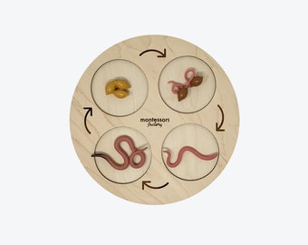 Life Cycle of a EARTHWORM • Montessori Material • Educational Toy • Wooden Life Cycle Tray • Wood Life Cycle Board • Biology • Zoology