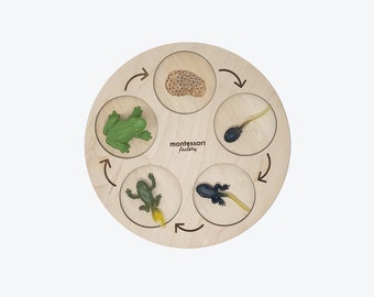 Life Cycle of a FROG • Montessori Material • Educational Toy • Wooden Life Cycle Tray • Wood Life Cycle Board • Biology • Zoology