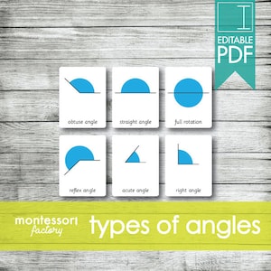 Può includere: Sei schede che mostrano diversi tipi di angoli, tra cui ottusi, retti e piatti. Ogni scheda presenta un arco blu e una linea nera, con il tipo di angolo etichettato sotto. Le parole "types of angles" sono visualizzate in verde.