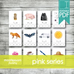 SÉRIE ROSA • Clip Cards Montessori • Carta inicial • Flash Cards • Material educacional • Montessori para impressão • PDF editável