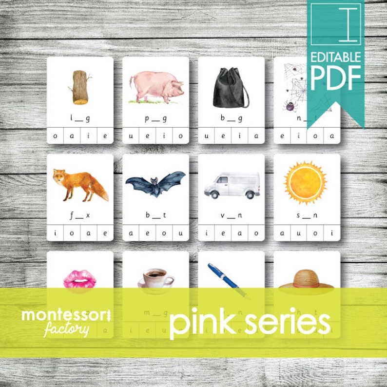 Montessori Pink Series Beginning Letter Clip Cards (editable PDF) - Etsy