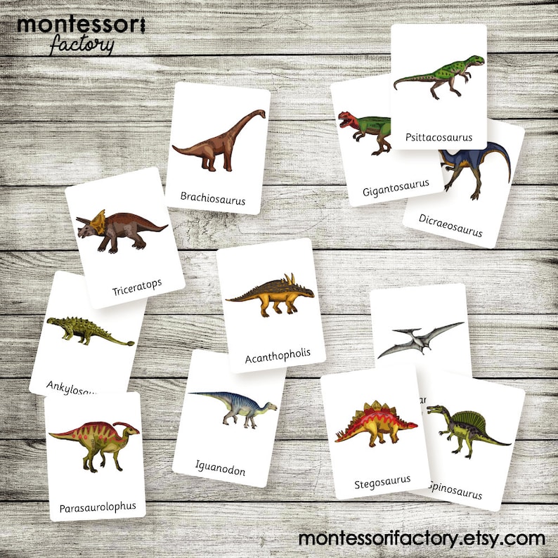 Dinosaurs Montessori Cards Flash Cards Three Part Cards Etsy