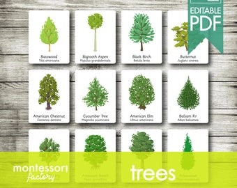 ARBRES • Cartes Montessori • Cartes Flash • Cartes en trois parties • Cartes de nomenclature • Montessori • Waldorf • Imprimable • PDF éditable