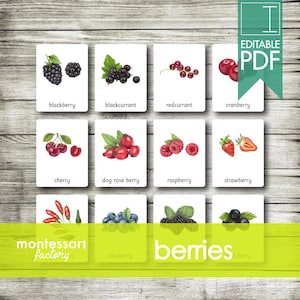 BERRIES ⦿ Montessori Cards • Flash Cards • Three Part Cards • Nomenclature Cards • Educational • Printable • Editable PDF