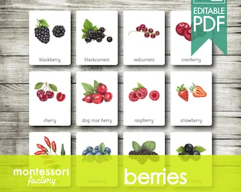 Cartes de nomenclature des baies Montessori • Cartes flash PDF modifiables