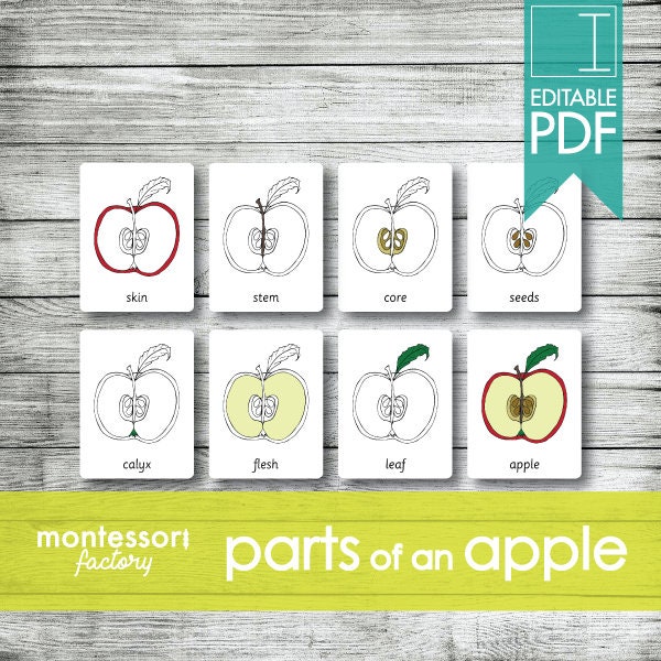 Parts of an APPLE Montessori Cards, Flash Cards, Three Part Cards, Nomenclature Cards, Educational Material, Printable, Editable PDF