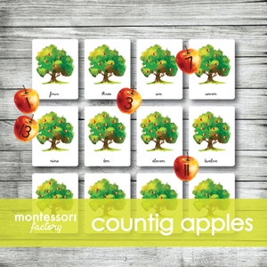 COUNTING APPLES Tree Montessori Cards, Flash Cards, Sorting Cards, Matching Cards Educational Material, Montessori Printable, Editable PDF