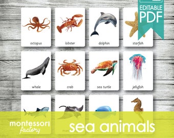 SEA OCEAN • Carte Montessori • Carte flash • Carte in tre parti • Carte nomenclatura • Materiale didattico • Stampabile • PDF modificabile