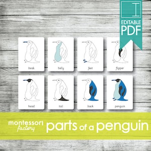 PARTES de un PINGÜINO • Tarjetas Montessori • Tarjetas flash • Tarjetas de tres partes • Tarjetas de nomenclatura • Educativas • Imprimibles • PDF editables