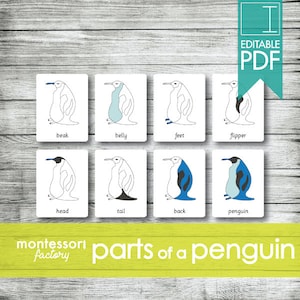 PARTS of a PENGUIN • Montessori Cards • Flash Cards • Three Part Cards • Nomenclature Cards • Educational • Printable • Editable PDF