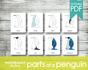 PARTS of a PENGUIN • Montessori Cards • Flash Cards • Three Part Cards • Nomenclature Cards • Educational • Printable • Editable PDF