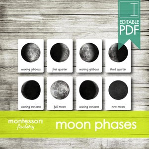 FASES DA LUA • Cartões Montessori • Cartões Flash • Cartões de Três Partes • Cartões de Nomenclatura • Material Educacional • Para Impressão • PDF Editável