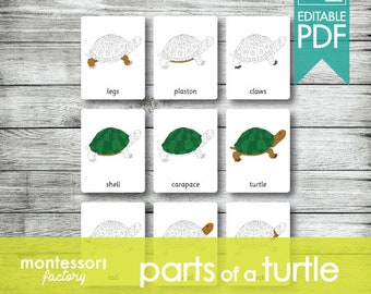 PARTS of a TURTLE • Montessori Cards • Flash Cards • Three Part Cards • Nomenclature Cards • Educational Material • Printable • Editable PDF