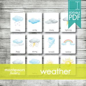 WEATHER • Montessori Cards • Flash Cards • Three Part Cards • Nomenclature Cards • Educational Material • Printable • Editable PDF