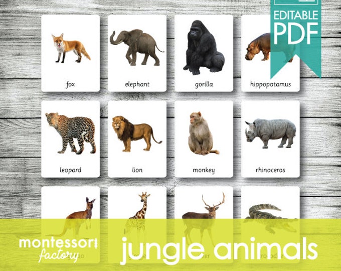 JUNGLE ANIMALS Montessori Cards Flash Cards Three Part | Etsy