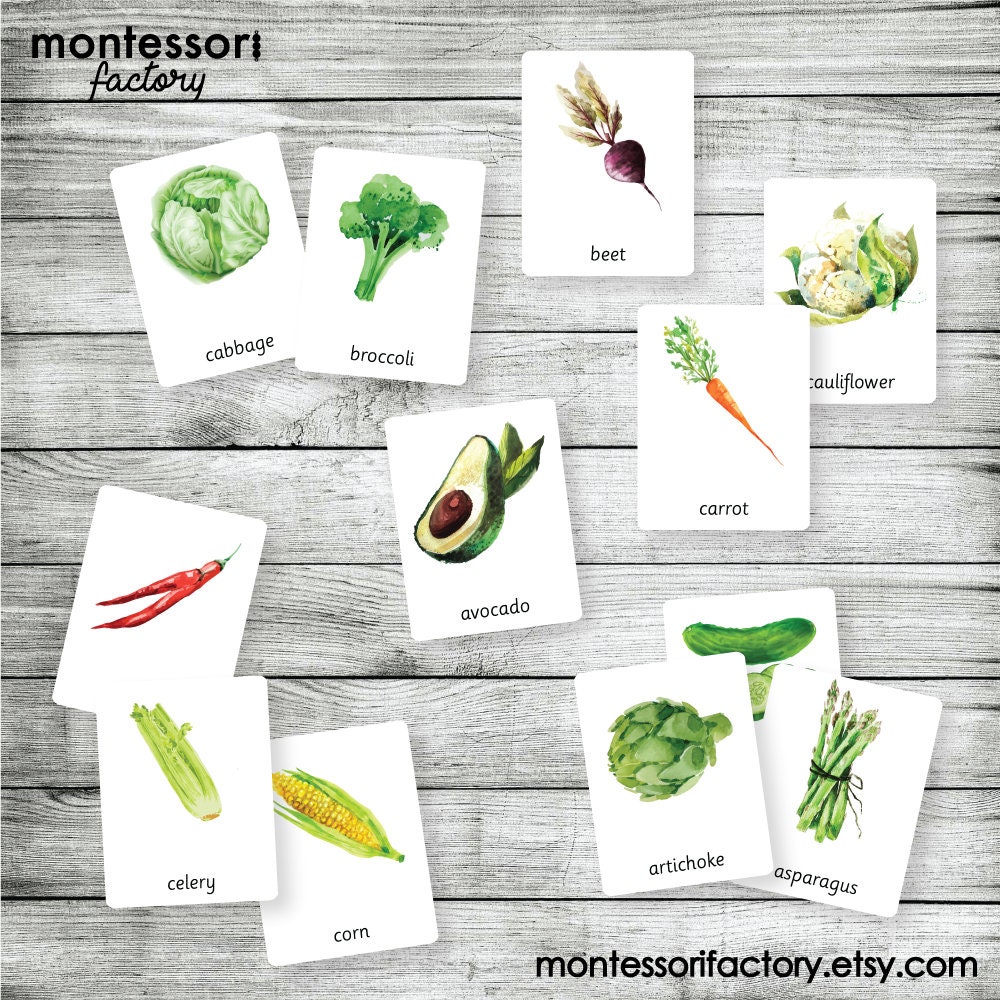 VEGETABLES Montessori Cards Flash Cards Three Part Cards | Etsy