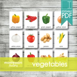 VEGETABLES (Real Pictures) • Montessori Cards • Flash Cards • Three Part Cards • Nomenclature Cards • Educational • Printable • Editable PDF