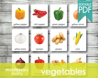 VEGETABLES (Real Pictures) • Montessori Cards • Flash Cards • Three Part Cards • Nomenclature Cards • Educational • Printable • Editable PDF