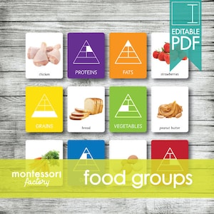 GROUPES ALIMENTAIRES Cartes Montessori, Cartes Flash, Cartes de tri, Cartes assorties Matériel éducatif, Montessori imprimable, PDF modifiable