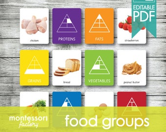 FOOD GROUPS Montessori Cards, Flash Cards, Sorting Cards, Matching Cards Educational Material, Montessori Printable, Editable PDF