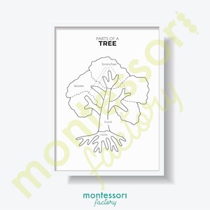 PARTES de un TREE Science Kids Room Wall Art Decor Montessori Kindergarten Primary Educational Poster Learning Chart Imprimible