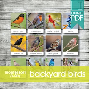 BACKYARD BIRDS • Montessori Cards • Flash Cards • Three Part Cards • Nomenclature Cards • Educational Material • Printable • Editable PDF