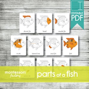 PARTS of a FISH • Montessori Nomenclature Cards - Flash Cards • Educational Material • Homeschooling • Fillable - Editable PDF (10 cards)