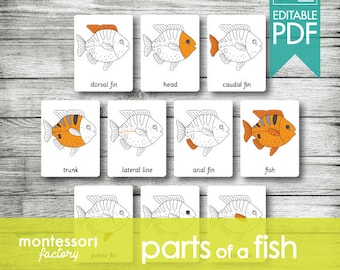 PARTS of a FISH • Montessori Nomenclature Cards - Flash Cards • Educational Material • Homeschooling • Fillable - Editable PDF (10 cards)