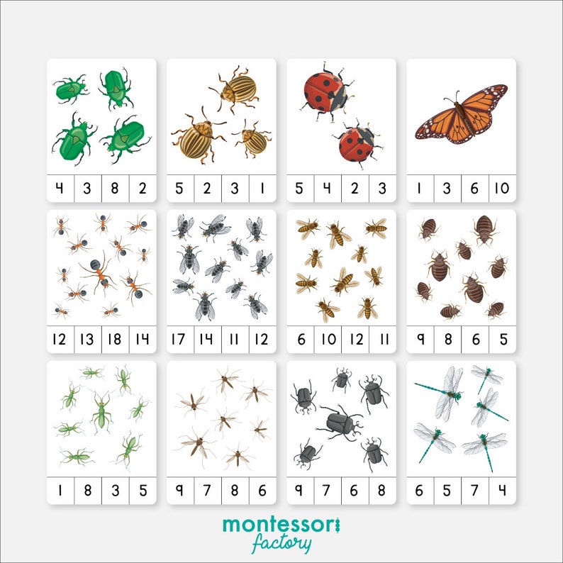 COUNTING INSECTS BUGS Numbers 1 to 20 Montessori Counting Etsy España