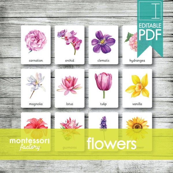 FLOWERS (BOTANY) • Montessori Cards • Flash Cards • Three Part Cards • Nomenclature Cards • Educational Material • Printable • Editable PDF