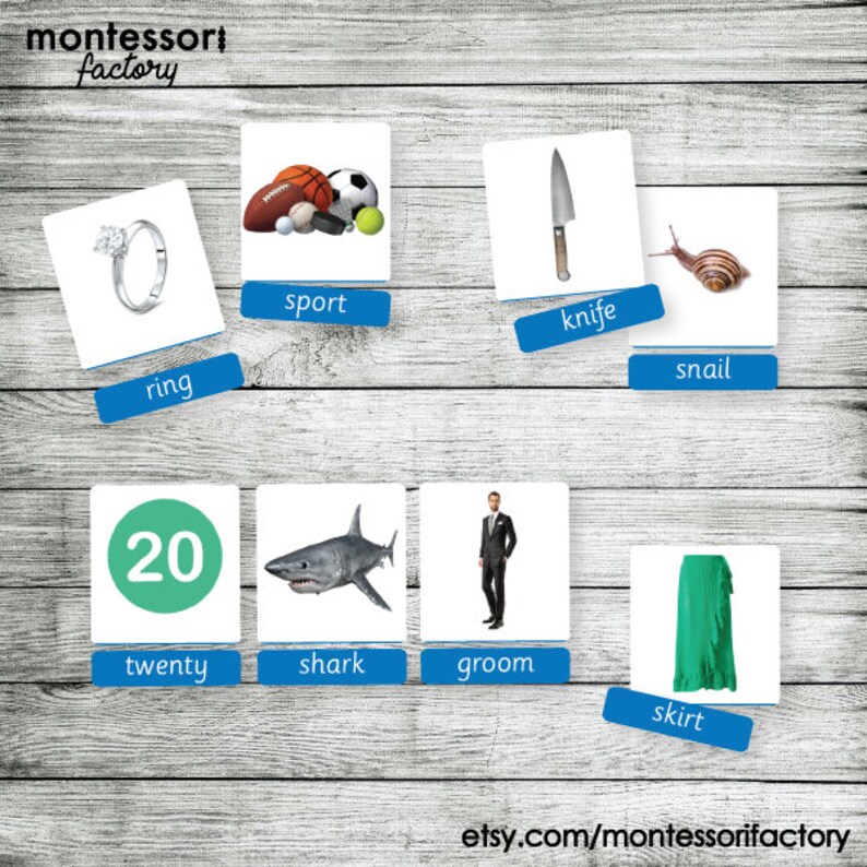 Montessori Blue Series Flash Cards • Editable PDF Nomenclature Cards - Etsy