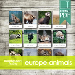 EUROPE ANIMALS • Montessori Cards • Flash Cards • Three Part Cards • Nomenclature Cards • Educational Material • Printable • Editable PDF