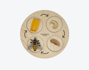 Life Cycle of a HONEY BEE • Montessori Material • Educational Toy • Wooden Life Cycle Tray • Wood Life Cycle • Biology • Zoology