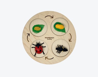 Life Cycle of a LADYBUG • Montessori Material • Educational Toy • Wooden Life Cycle Tray • Wood Life Cycle • Biology • Zoology