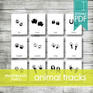 ANIMAL TRACKS • Montessori Nomenclature - Flash - 3 Parts Cards • Educational Material • Fillable - Editable PDF (36 cards)
