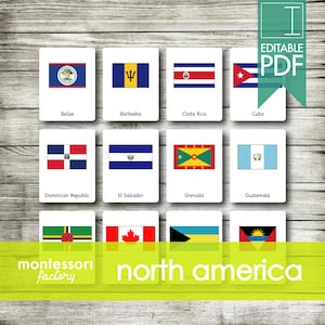 NORTH AMERICA FLAGS • Montessori Cards • Flash Cards • Three Part Cards • Nomenclature Cards • Educational Material • Printable • Editable