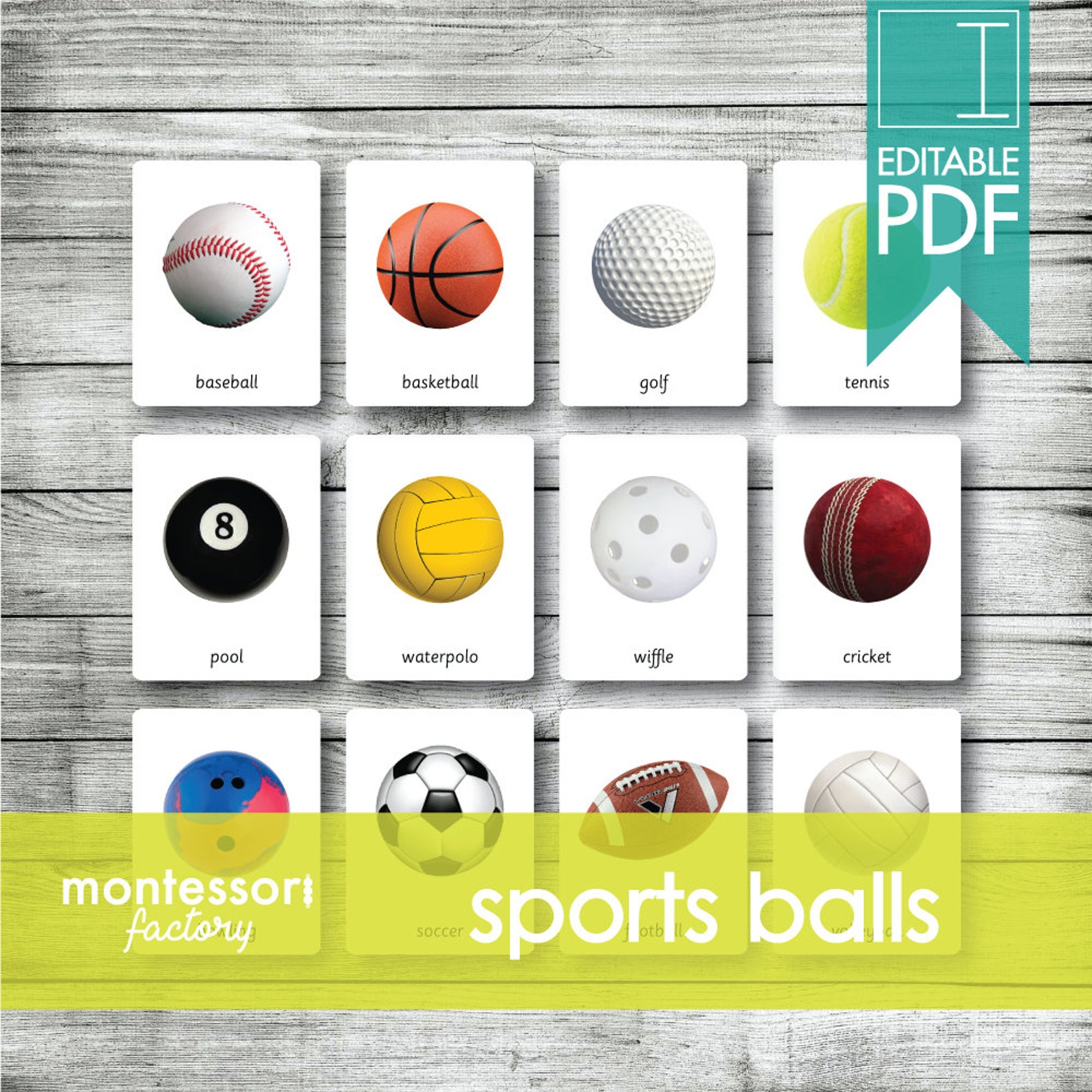 SPORT BALLS Montessori Cards Flash Cards Three Part Etsy