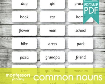 COMMON NOUNS • Montessori Cards • Educational Material • Homeschooling • Fillable - Editable PDF (120 cards)