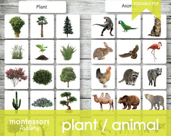 PLANT or ANIMAL (Real Pictures) • Montessori Cards • Flash Cards • 3 Part Cards • Nomenclature Cards • Educational • Printable • Editable