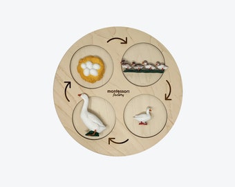 Taca Montessori „Cykl życia kaczki” • Drewniana zabawka edukacyjna