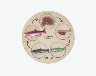 Drewniana tacka z cyklem życia łososia • Zabawka edukacyjna Montessori