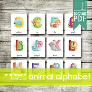 ANIMAL ALPHABET • Montessori Cards • Flash Cards • Three Part Cards • Nomenclature Cards • Educational • Montessori Printable • Editable PDF