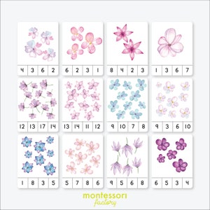 LICZENIE KWIATÓW • Wiosna • Karty do liczenia Montessori • Karty do przypinania • Karty flash • Materiały edukacyjne • Montessori do druku • Edytowalny plik PDF