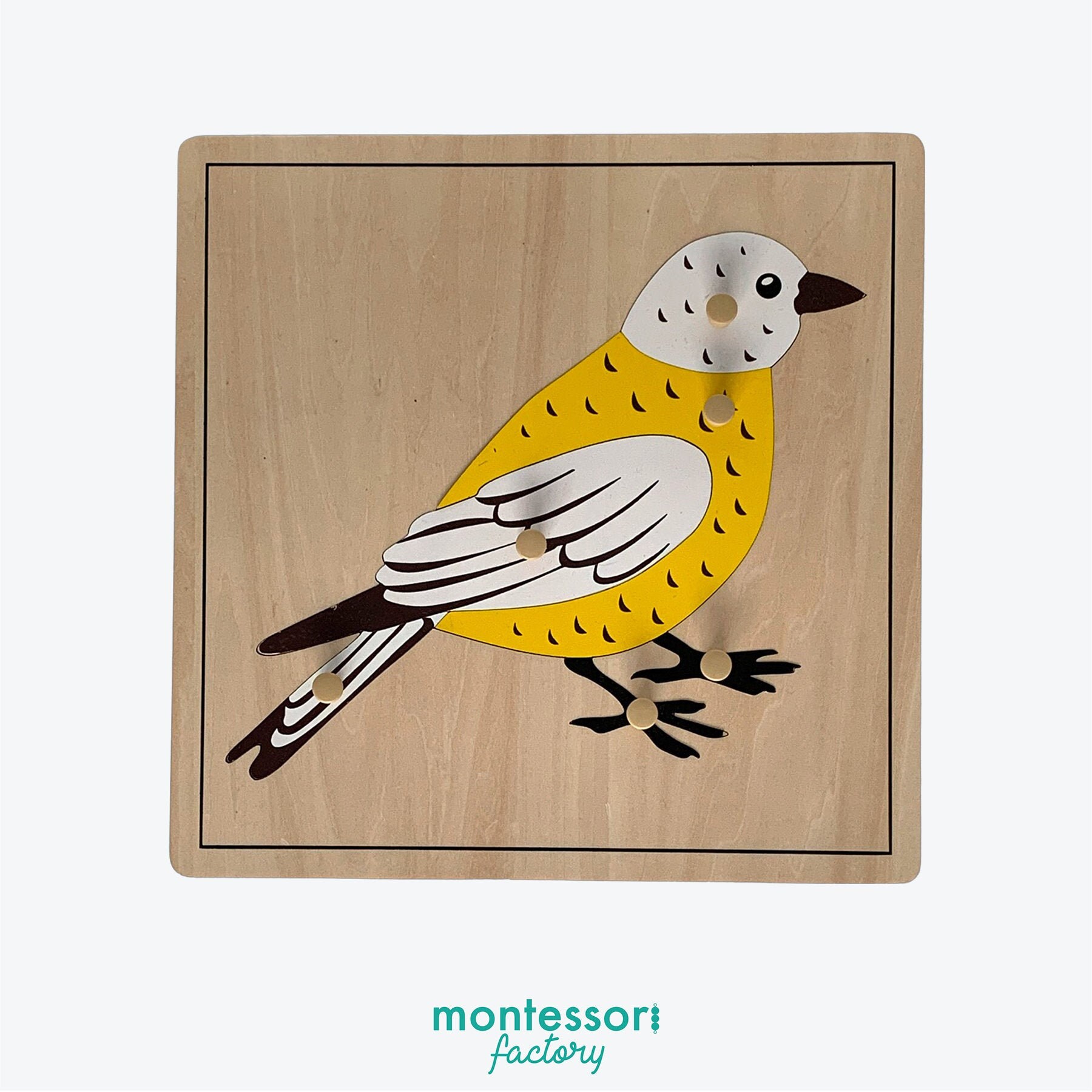 PARTS of a BIRD Montessori Wood Puzzle Biology Zoology Etsy
