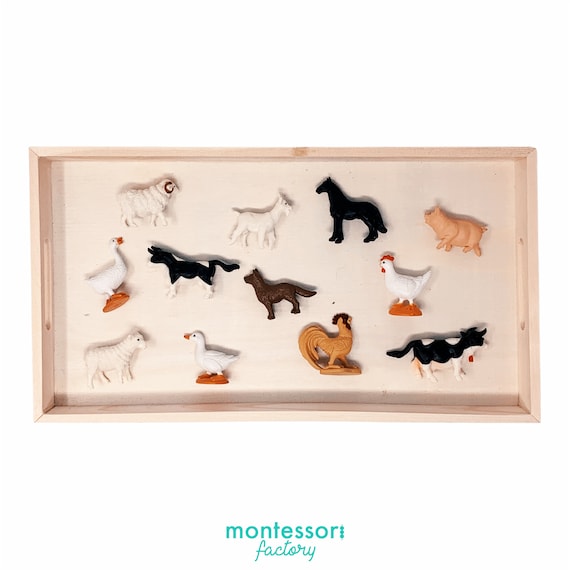 FARM ANIMALS TOOB Figurines Set Montessori Toy Sensory Bin Biology